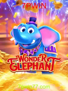 WonderElephant